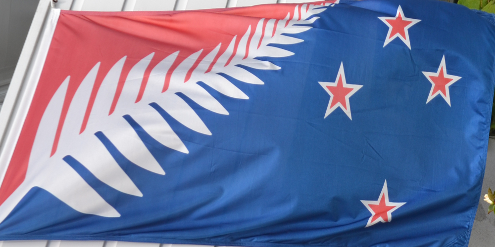 NZ flag proposal silver fern with red