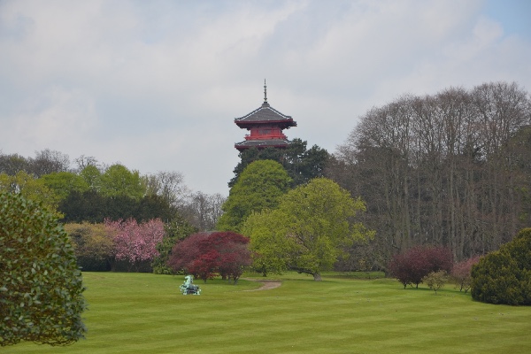 O jardim com a torre japonese