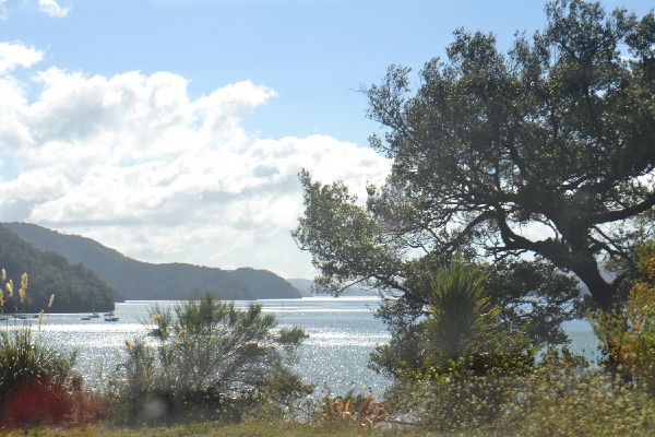 mooie -en zonnige- uitzichten over de Queen Charlotte Sound