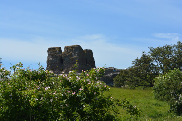 middeleeuws kasteel van Kalø in Mols Bjerge NP