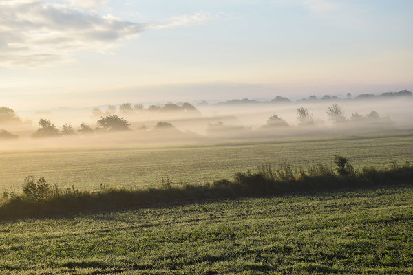 la niebla de la mañana se levanta de los campos
