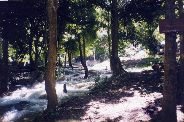 at Tad Sae, the river runs through the forest