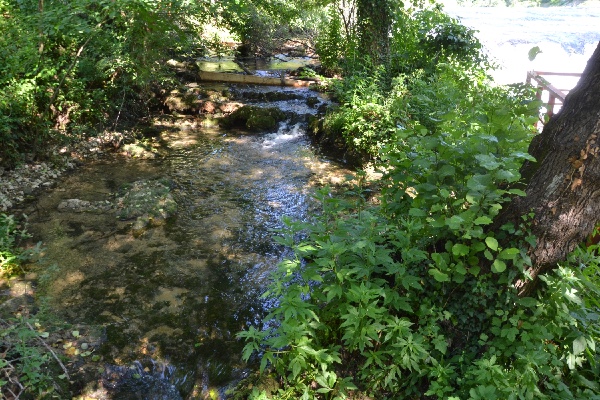 a brook runs along the falls