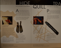 hide and quill for leather and decoration